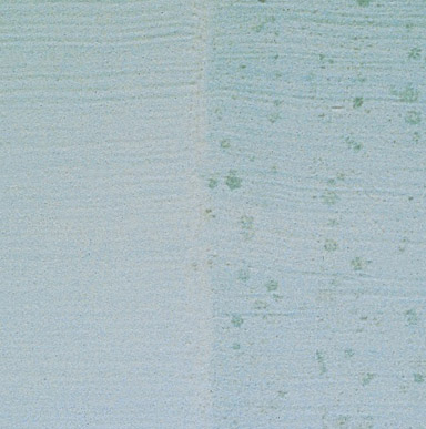 Close up image of a surface that has black, gray or brown areas of fungus growth.