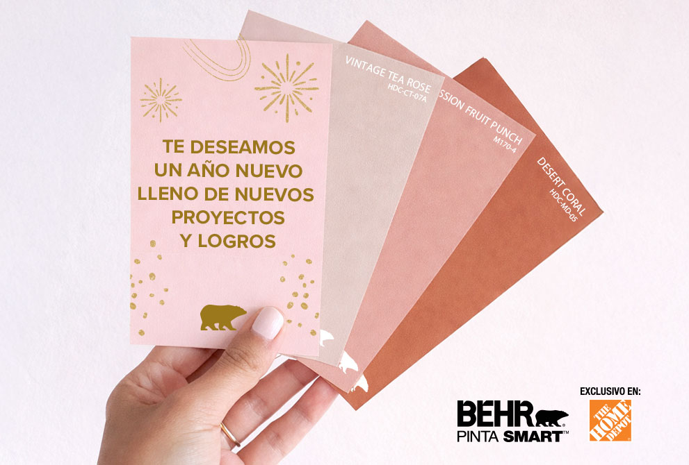 Large view of an Image of Behr Premium Plus Pinta Smart banner