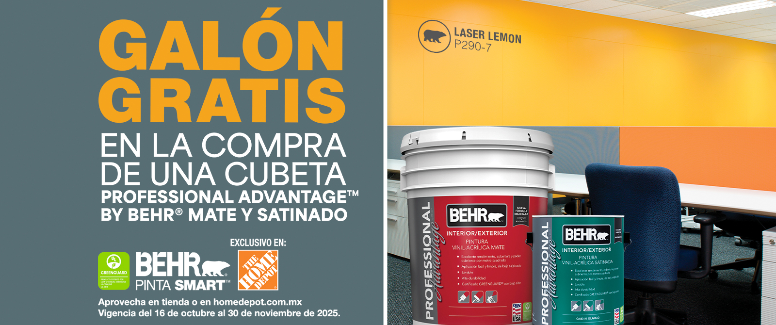 Image of Behr Pro Advantage Promo