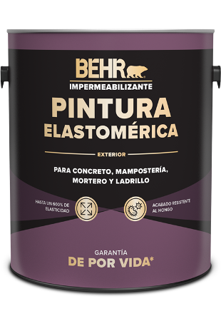 Pintura Elastomerica