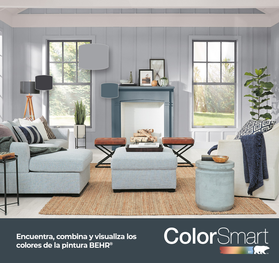 Colorsmart Banner