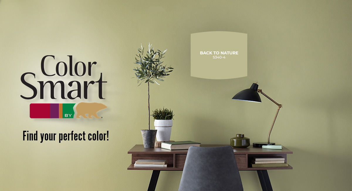 ColorSmart Promo - US English