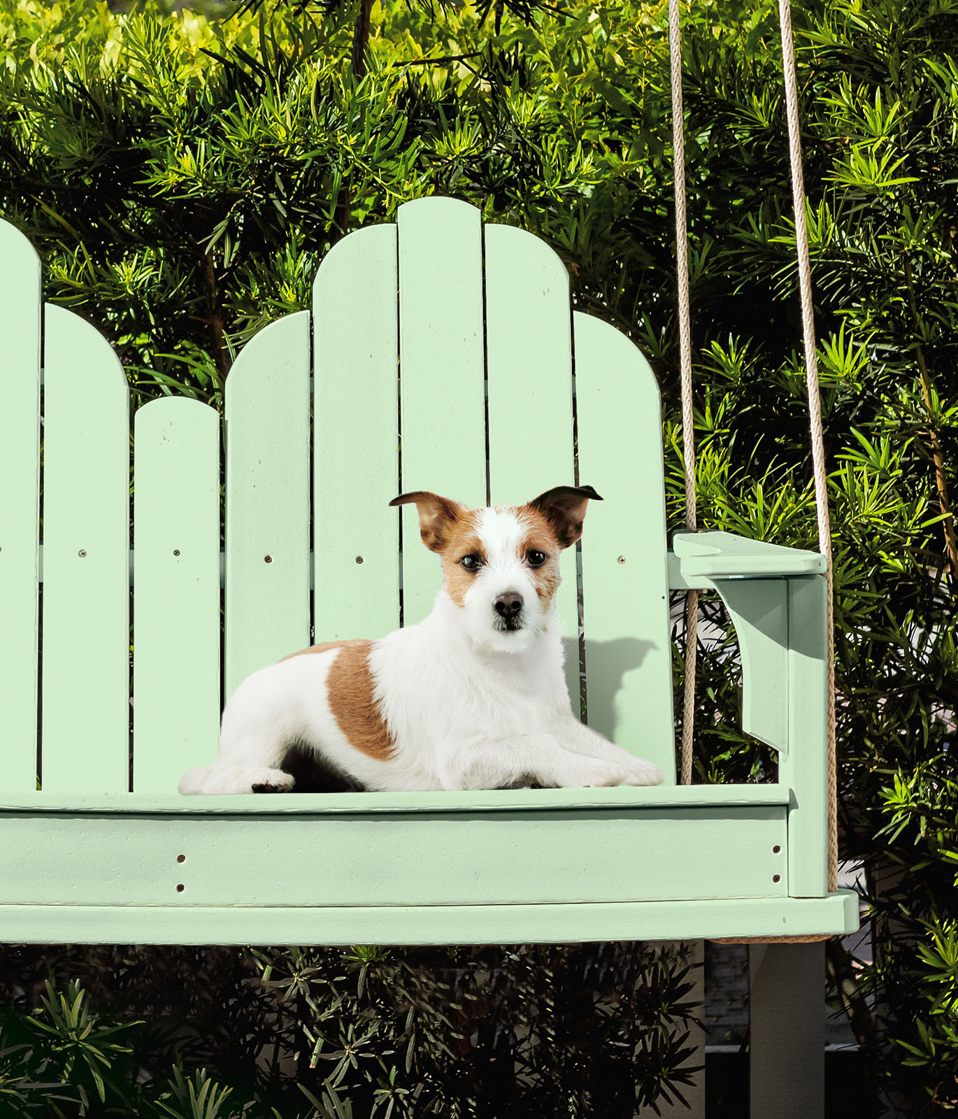 A dog sitting on a green painted outdoor large swing.