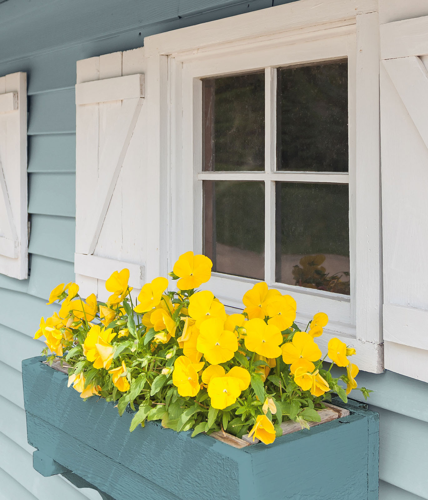 The exterior of a home focused on the window sill with a planter of yellow flowers hanging under the window. 