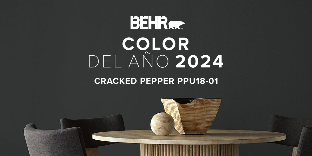 Color del año 2025 para Profesionales de la pintura Cracked Pepper